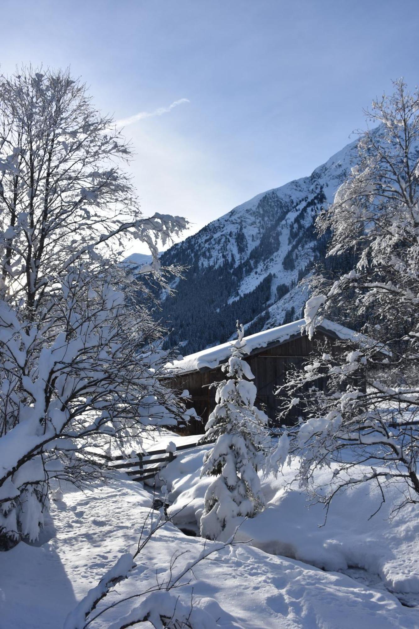 Haus Marco Apartment Neustift im Stubaital Exterior foto