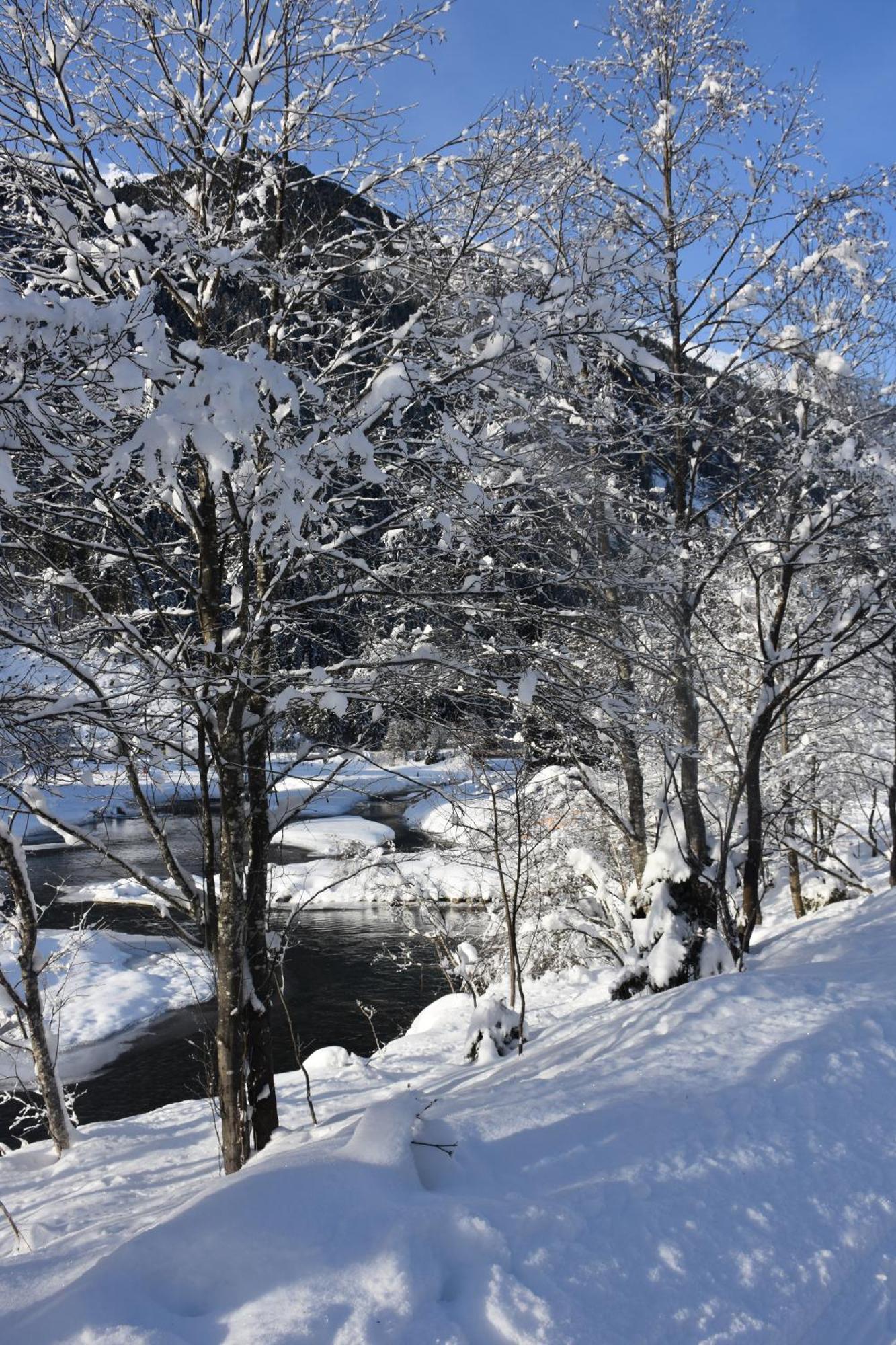 Haus Marco Apartment Neustift im Stubaital Exterior foto