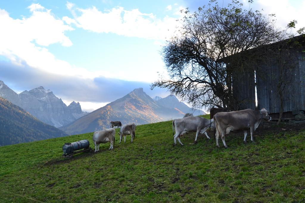 Haus Marco Apartment Neustift im Stubaital Exterior foto