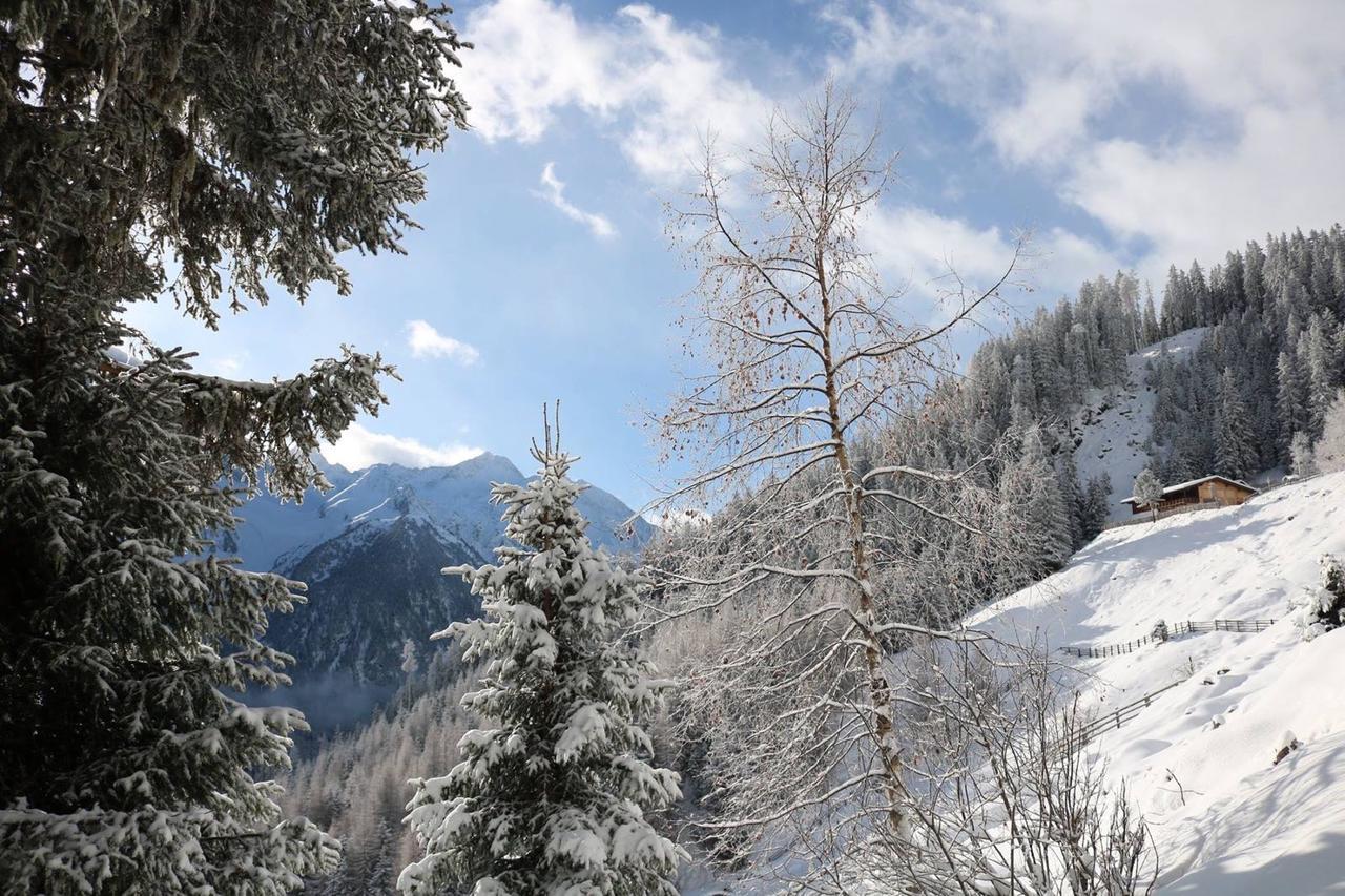 Haus Marco Apartment Neustift im Stubaital Exterior foto