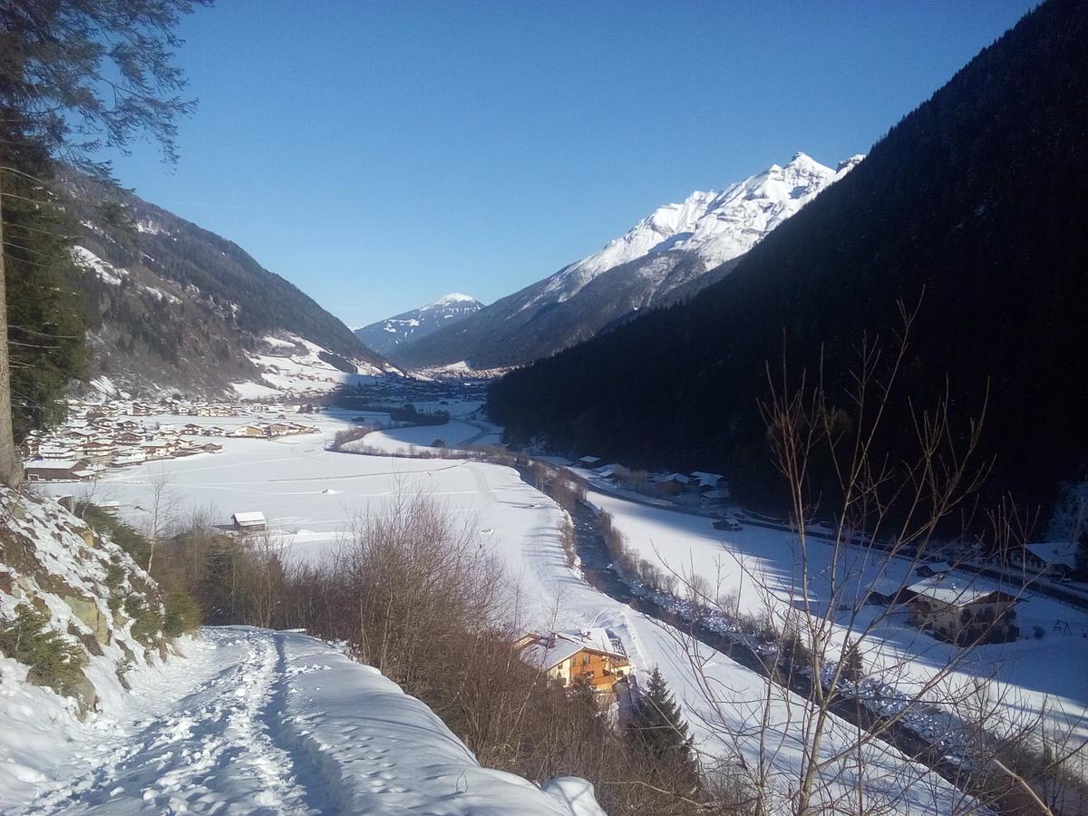 Haus Marco Apartment Neustift im Stubaital Exterior foto