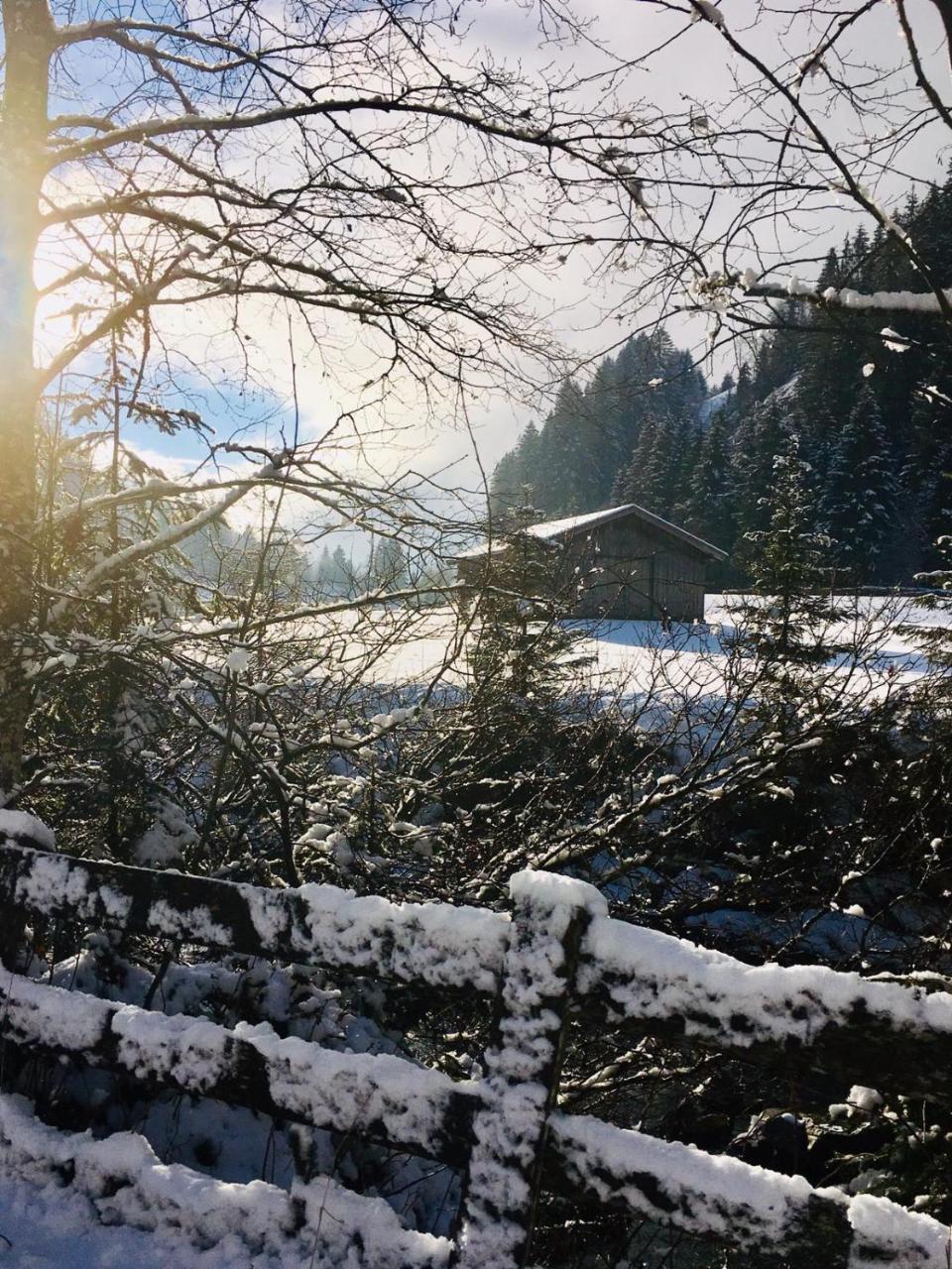 Haus Marco Apartment Neustift im Stubaital Exterior foto